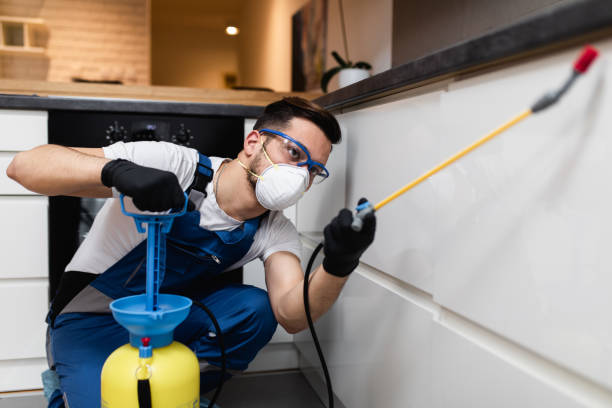 Best Exterminator Services  in Colon, MI