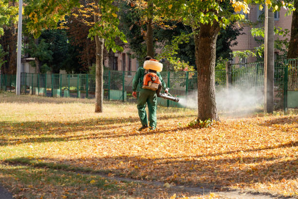 Reliable Colon, MI Pest Control Solutions