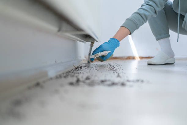 Best Ant Control Services  in Colon, MI