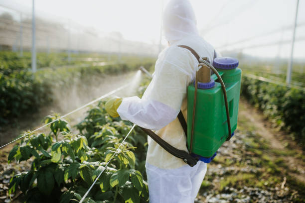 Best Rat Extermination Near Me  in Colon, MI